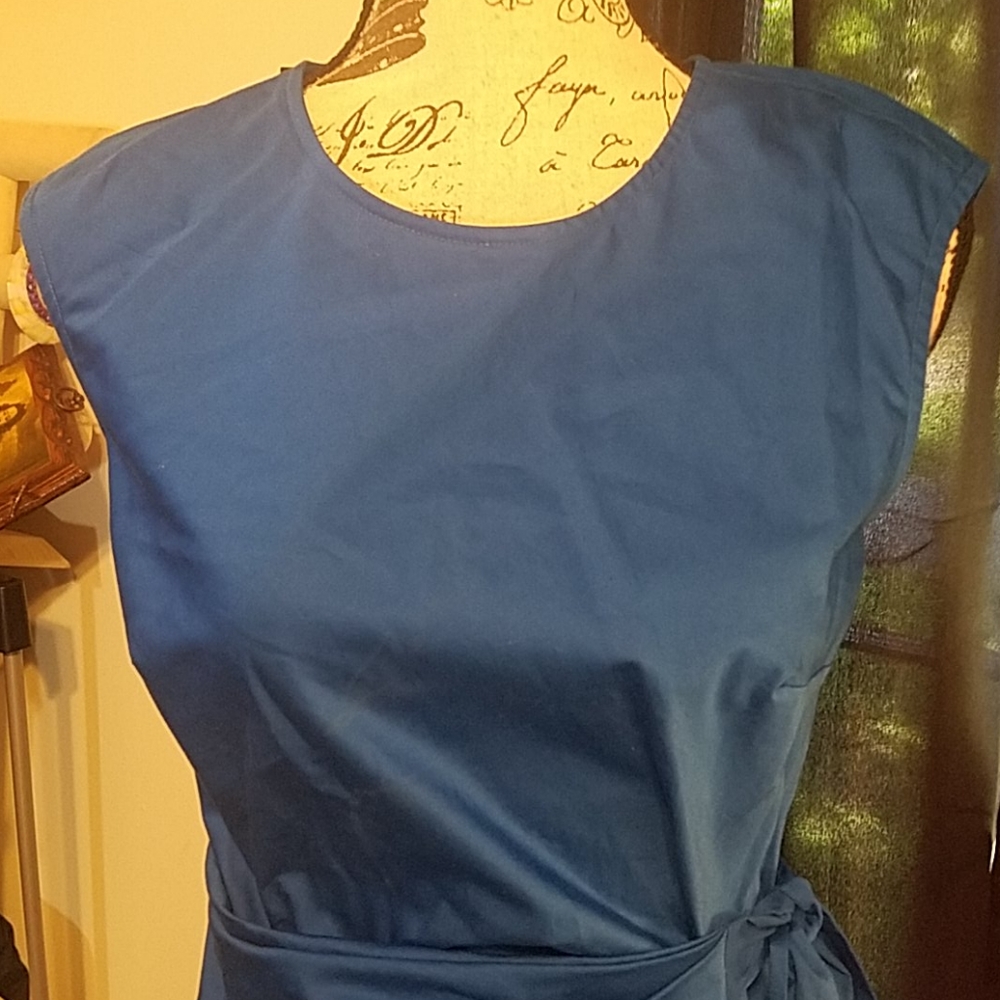 Ann taylor Dress NWT - Picture 3 of 6